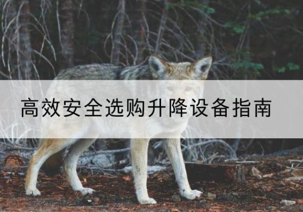 奉贤区升降货梯厂家推荐-*安全选购升降设备指南