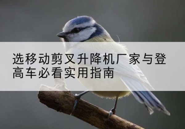 奉贤区电动升降机厂家-选移动剪叉升降机厂家与登高车必看实用指南