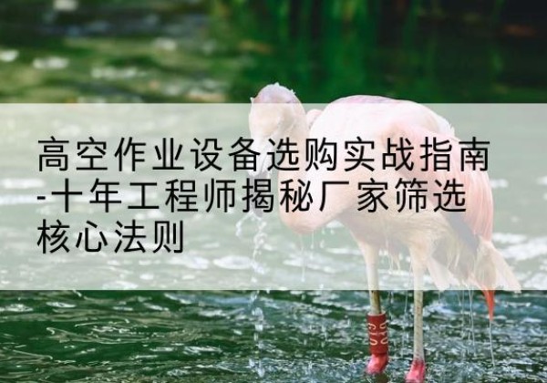 奉贤区剪叉式升降机厂家-高空作业设备选购实战指南-十年工程师揭秘厂家筛选核心法则